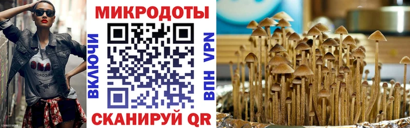 Галлюциногенные грибы Magic Shrooms  Купить закладки  Ханты-Мансийск 